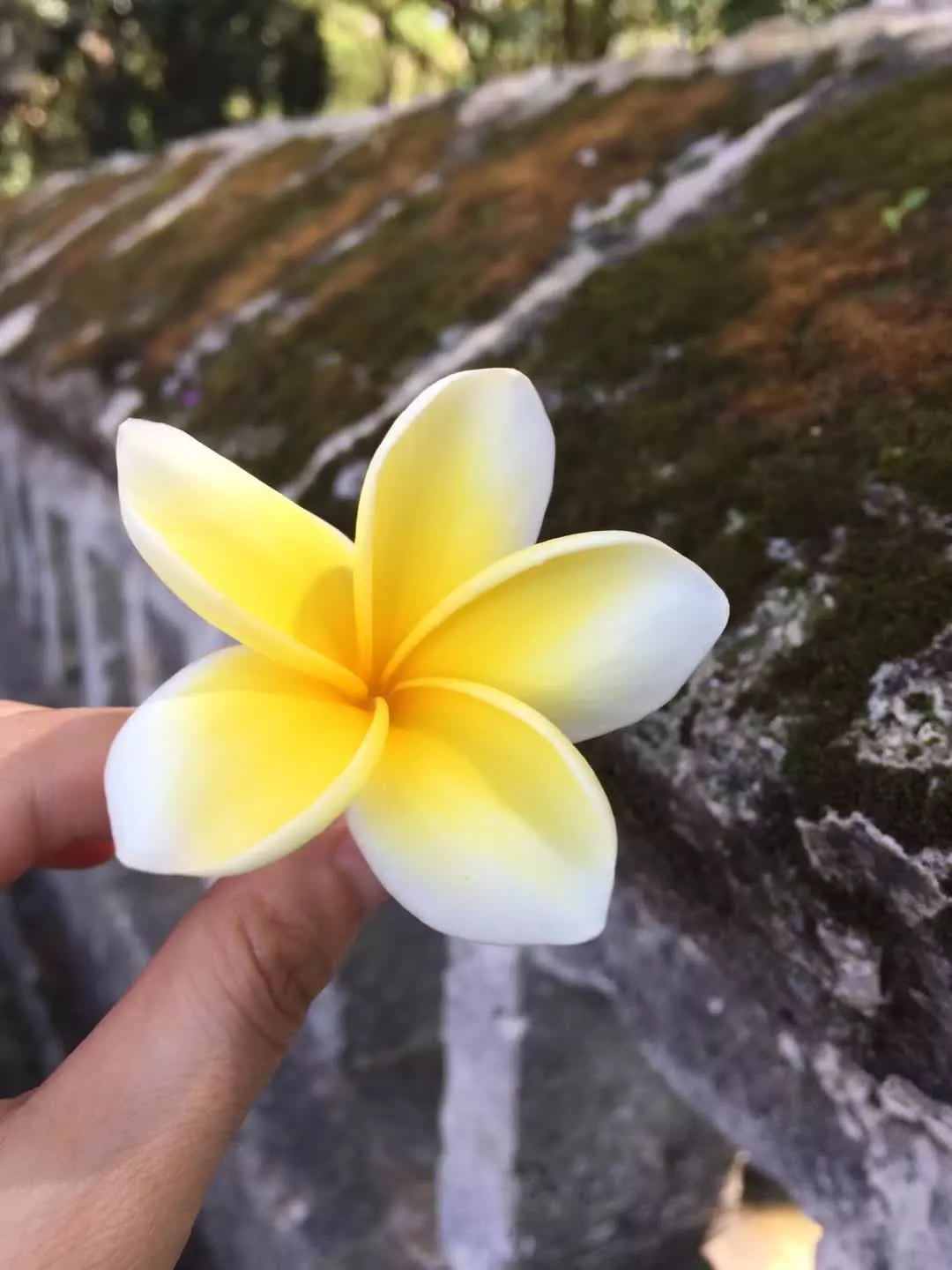 1534735036990967.jpg 6401_看圖王.web.jpg