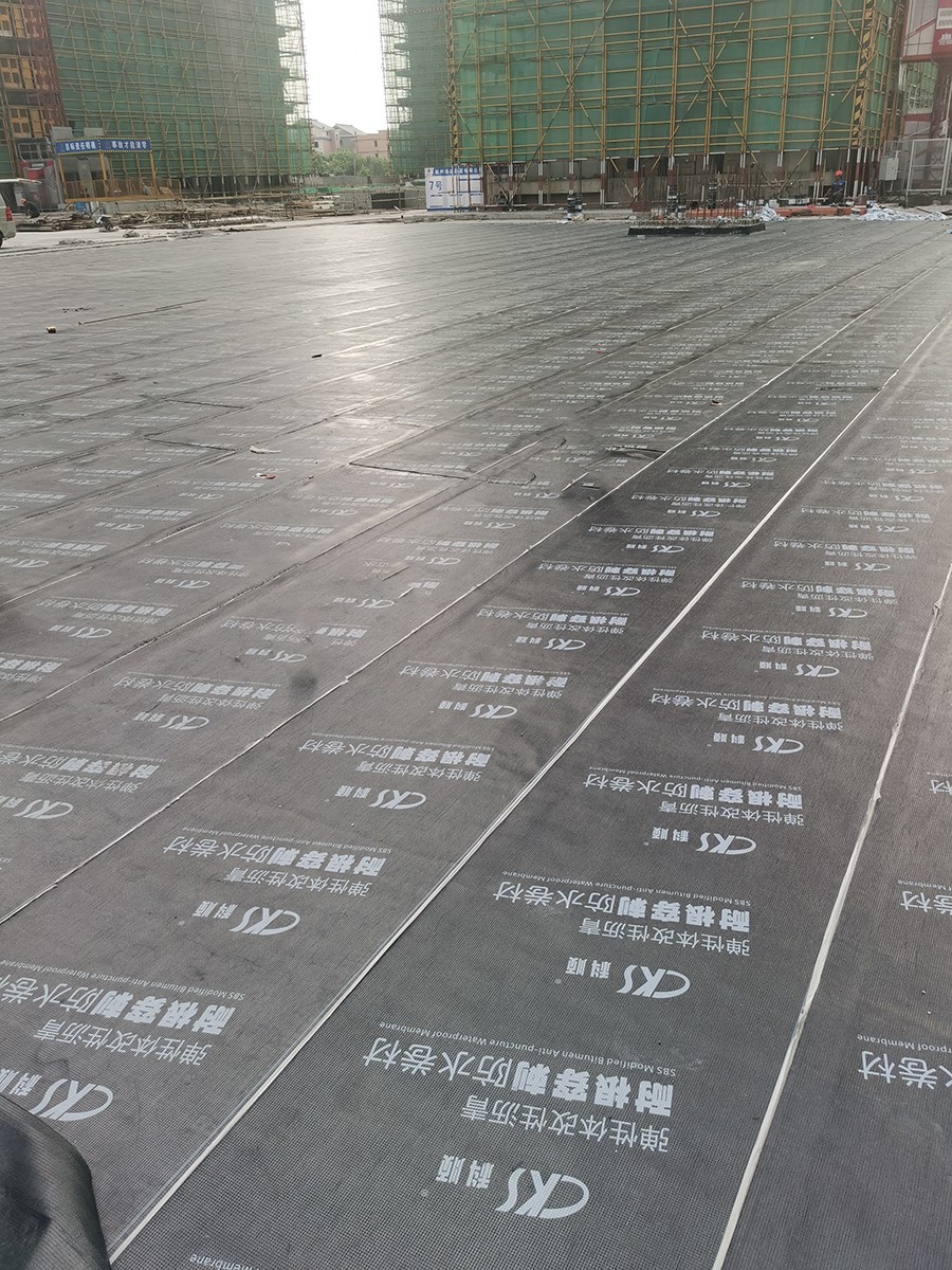 1639703371685204.jpg 8684bd08c48f349fd337c45d45e6f4e.jpg