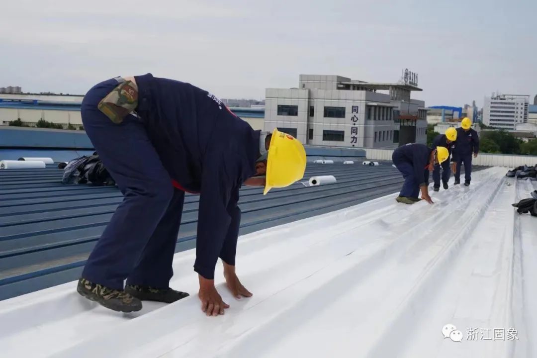 1657004337786253.jpg 640 (3).jpg